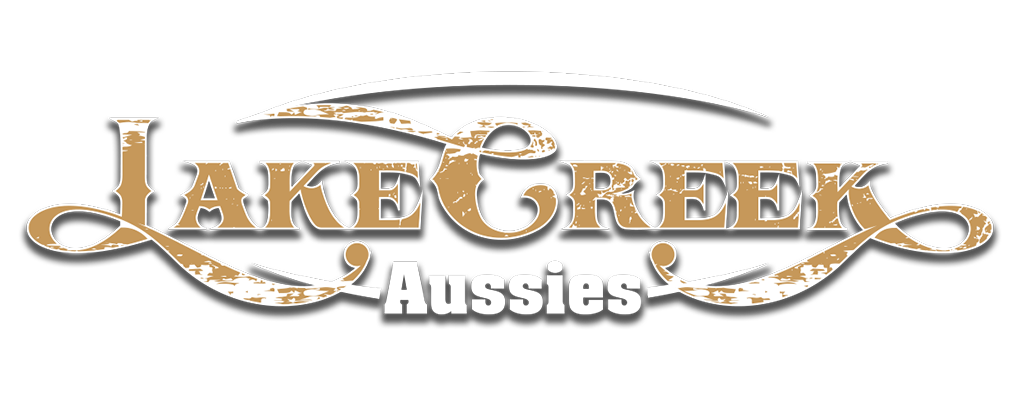 Lake Creek Aussies