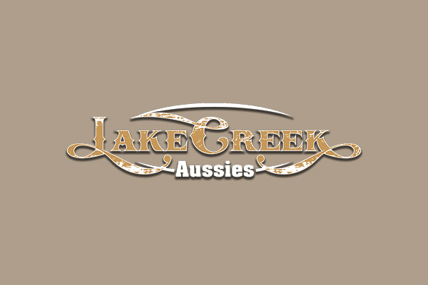Top Aussie Breeder Oregon