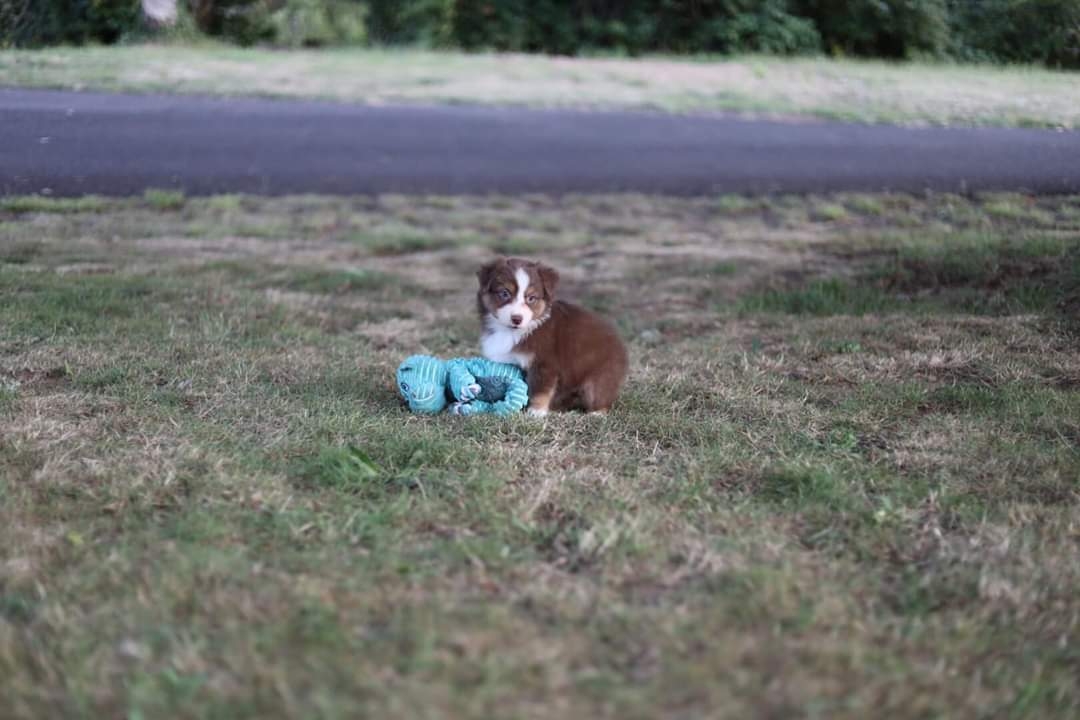 Wilma